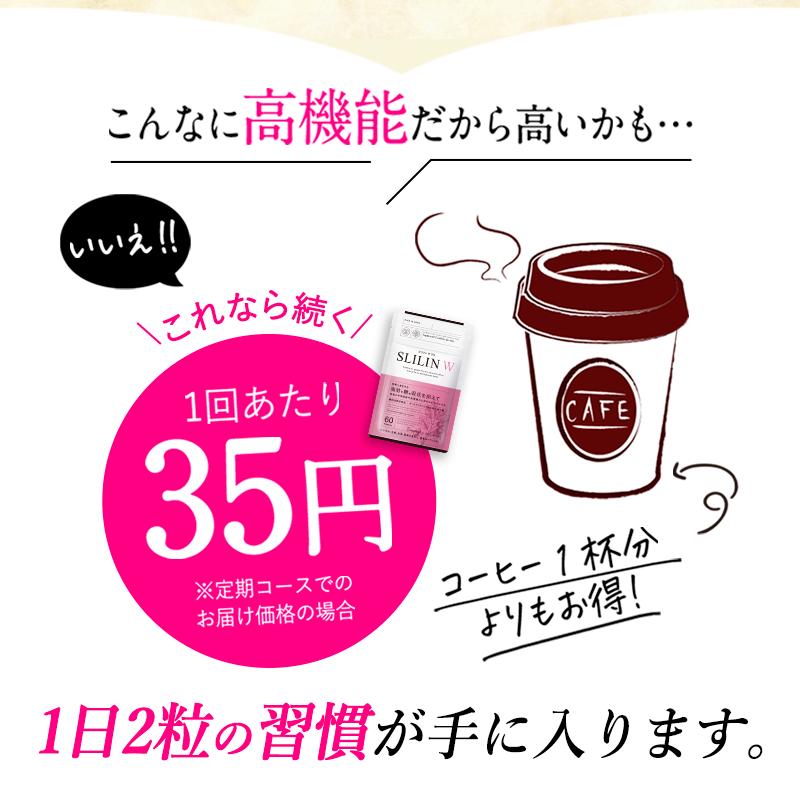 SLLIN W スリリンダブル 60粒 約1ヶ月分 機能性表示食品 乳酸菌 チャコール 体内サポート サプリメント ターミナリアベリリカ 3袋セット | キラリズム | 06