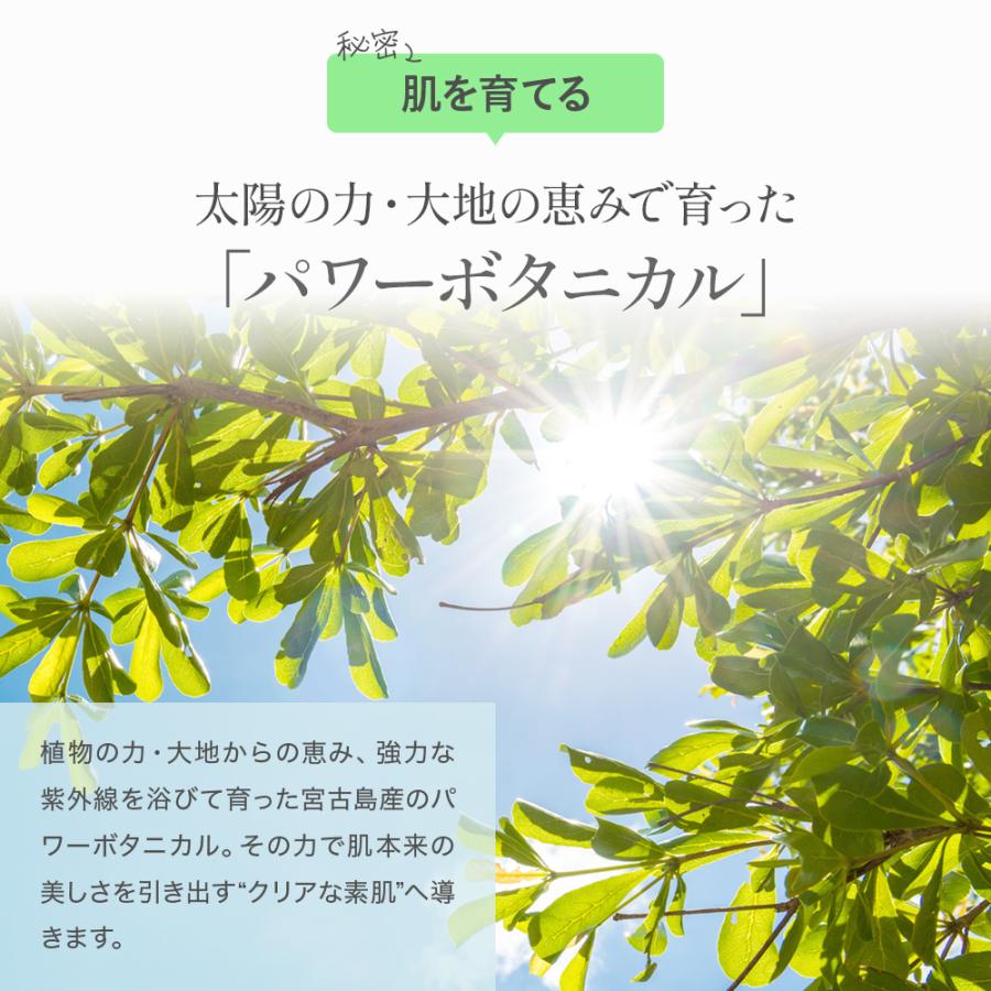 ホワイトヴェール ミネラルクレンズ ダメージレス クレンジング | キラリズム | 16