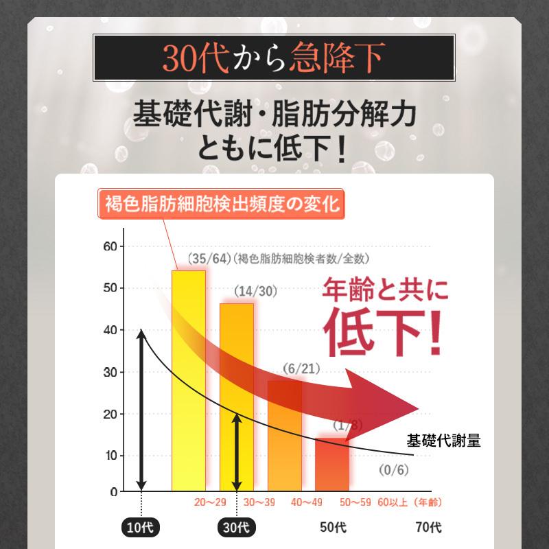 スリリンファイア 2袋 温活 脂肪燃焼 サプリ ダイエットサプリ ダイエット 皮下脂肪 ブラックジンジャー サプリ エラグ酸 基礎代謝 サポート 生姜｜plutoi｜09