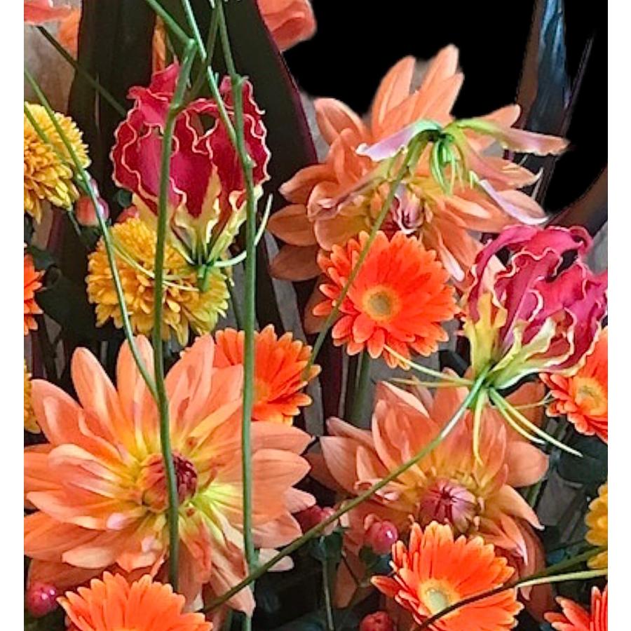 お悔み お供え ガーベラ オレンジ 生花 アレンジメント 12000円 おしゃれ 現代風 仏花 枕花 命日 法事 一周忌 四十九日 新盆 洋花 送料無料 クール便 |  | 10