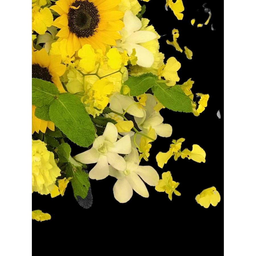 お悔み お供え 生花 アレンジメント ひまわり ペット 4400円 おしゃれ 現代風 仏花 枕花 命日 法事 一周忌 四十九日 新盆 洋花 送料無料 メッセージカード無料 |  | 07