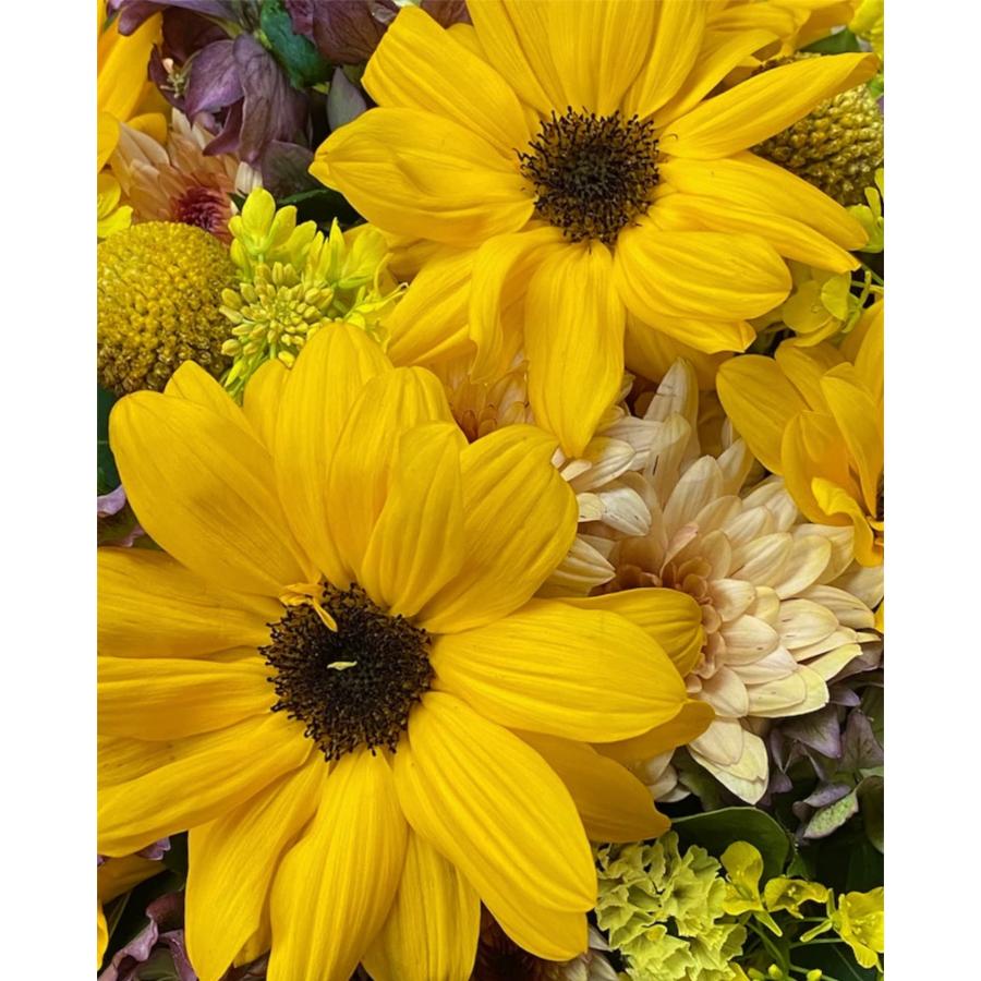 お悔み お供え ひまわり 生花 アレンジメント ペット 4400円 おしゃれ 現代風 仏花 枕花 命日 法事 一周忌 四十九日 新盆 洋花 送料無料 クール便 |  | 05
