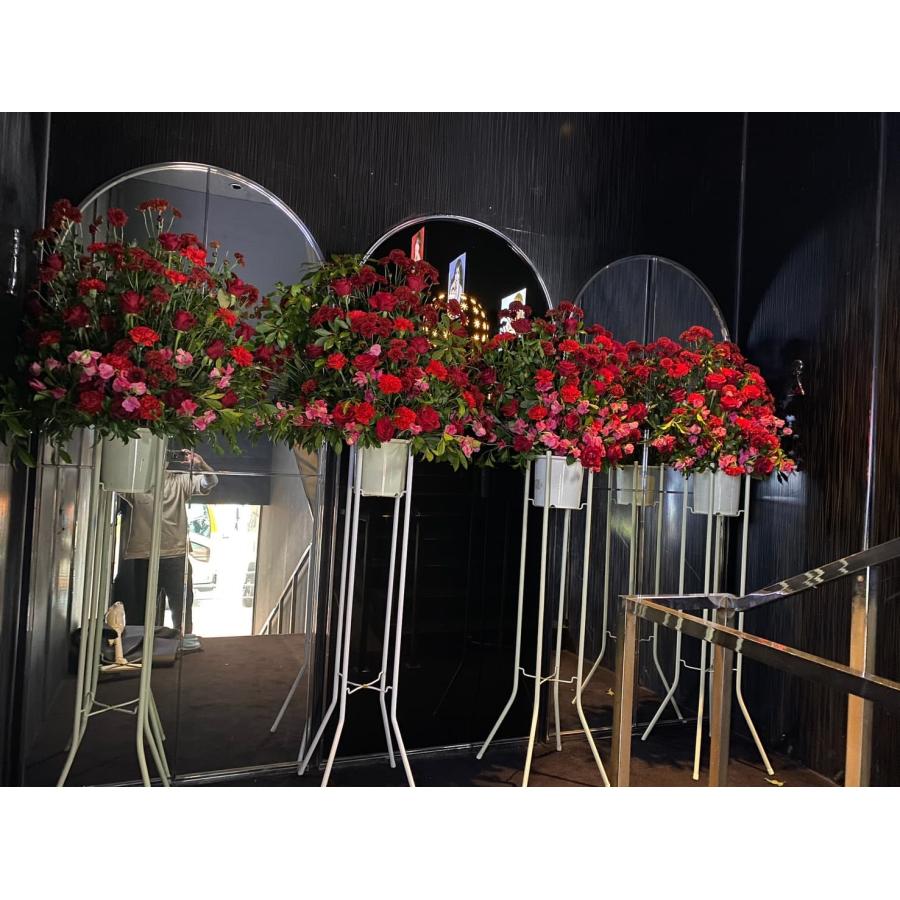 スタンド花 東京ドーム 日本武道館 ボリューム大 コンサート 祝花 ライブ 胡蝶蘭 楽屋花 1段 2段 |  | 18