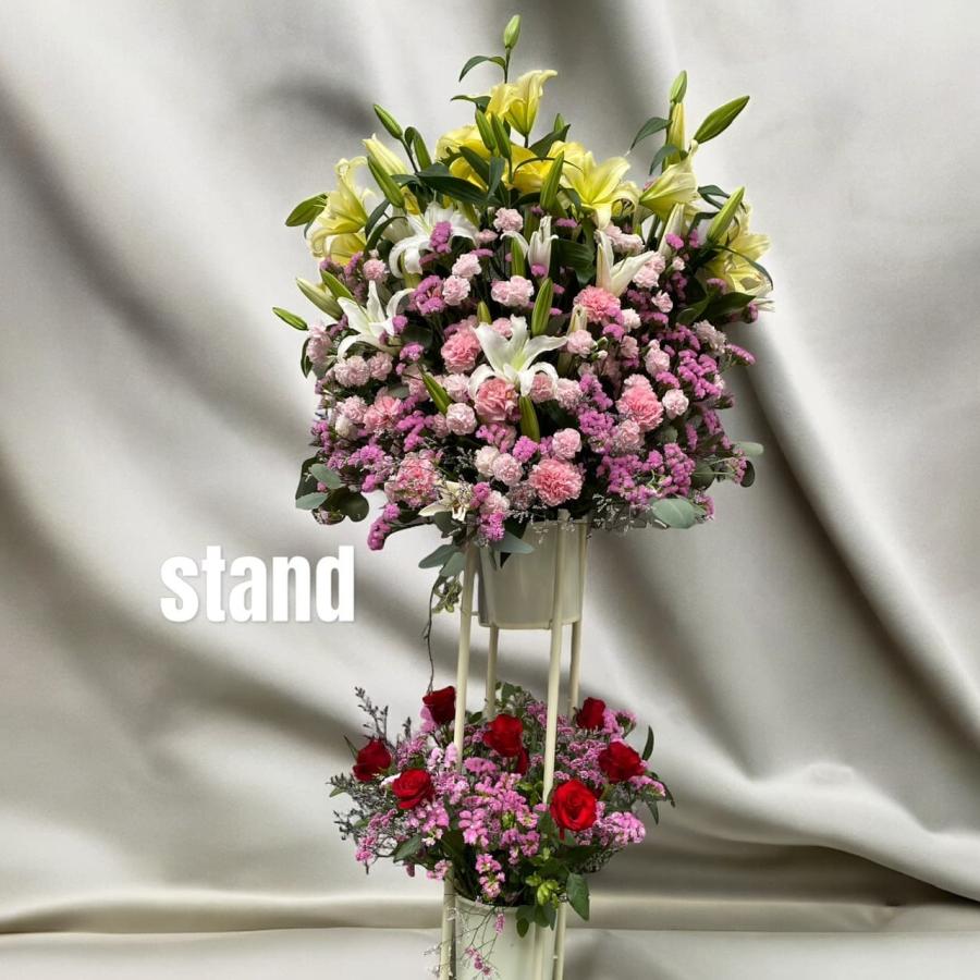 スタンド花 東京ドーム 日本武道館 ボリューム大 コンサート 祝花 ライブ 胡蝶蘭 楽屋花 1段 2段 | 