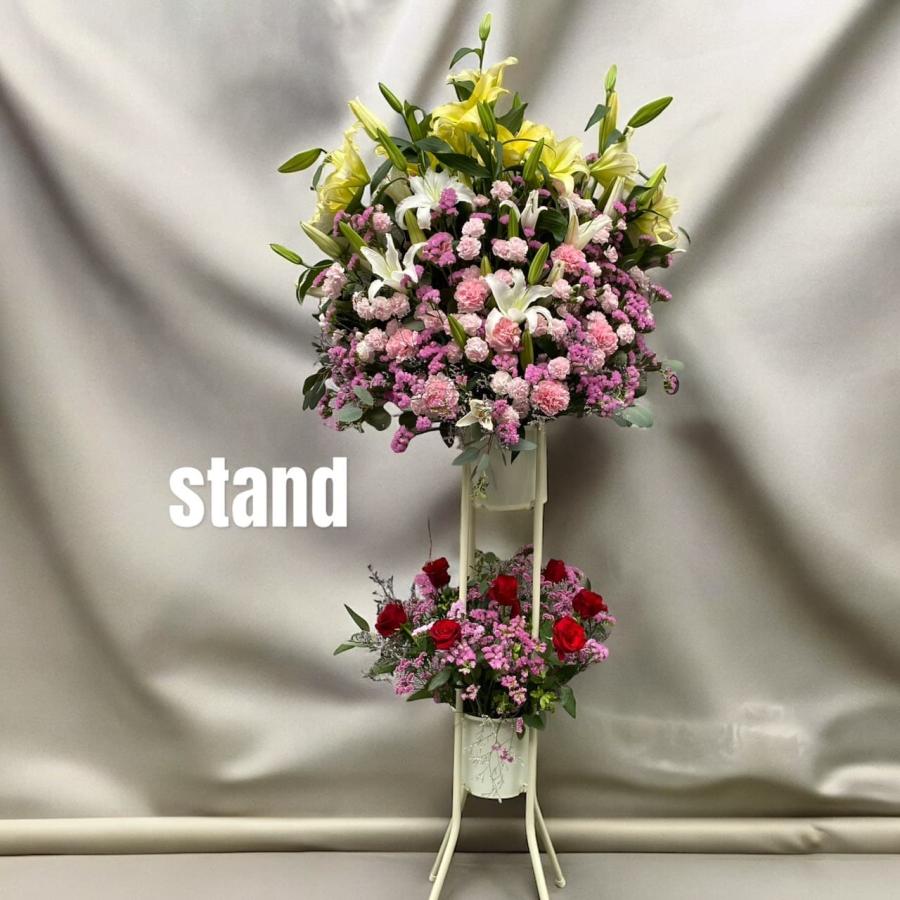 スタンド花 東京ドーム 日本武道館 ボリューム大 コンサート 祝花 ライブ 胡蝶蘭 楽屋花 1段 2段 |  | 03