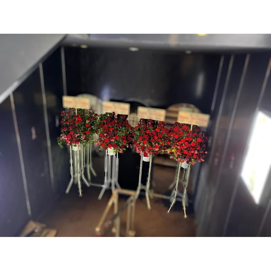 スタンド花 東京ドーム 日本武道館 ボリューム大 コンサート 祝花 ライブ 胡蝶蘭 楽屋花 1段 2段 |  | 09