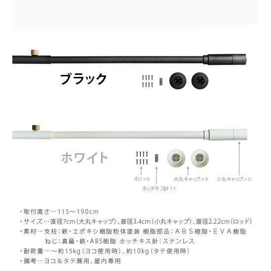 つっぱり棒 強力 棚 ラック DRAW A LINE オススメセット2 : plywood