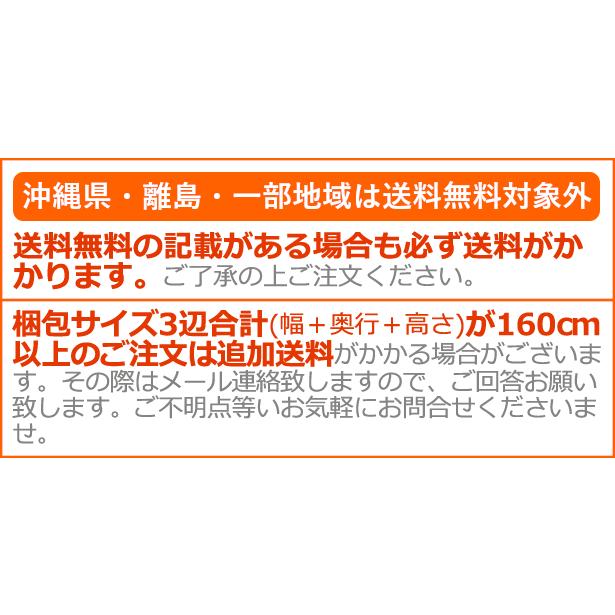 【選べる2大特典付】ファンヒーター 電気 ブルーノ BRUNO 全方位型ファンヒーター Classic Stove BOE100｜plywood｜14