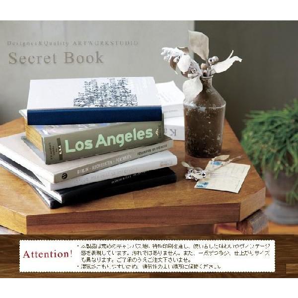収納ボックス シークレットブック Secret Book ( S size ) : plywood