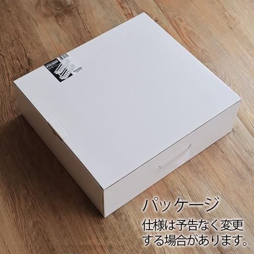 DULTON（ダルトン） アルミニウム ウォールシェルフ 2タイヤ DULTON