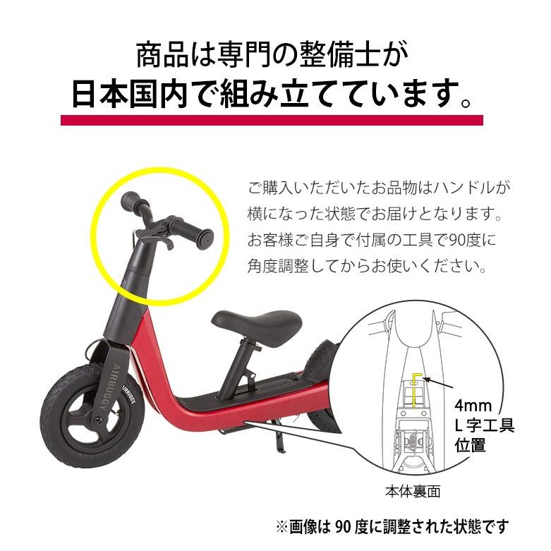 エアバギー キック＆スクート AIRBUGGY KICK & SCOOT : plywood - 通販