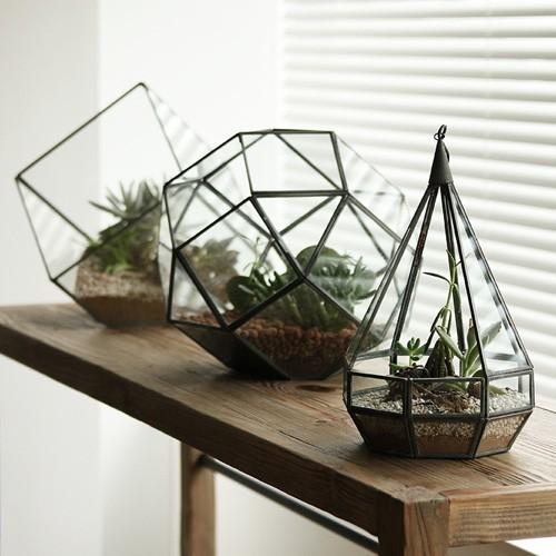ポリへドロン テラリウム Sサイズ Polyhedron Terrarium “S” あすつく