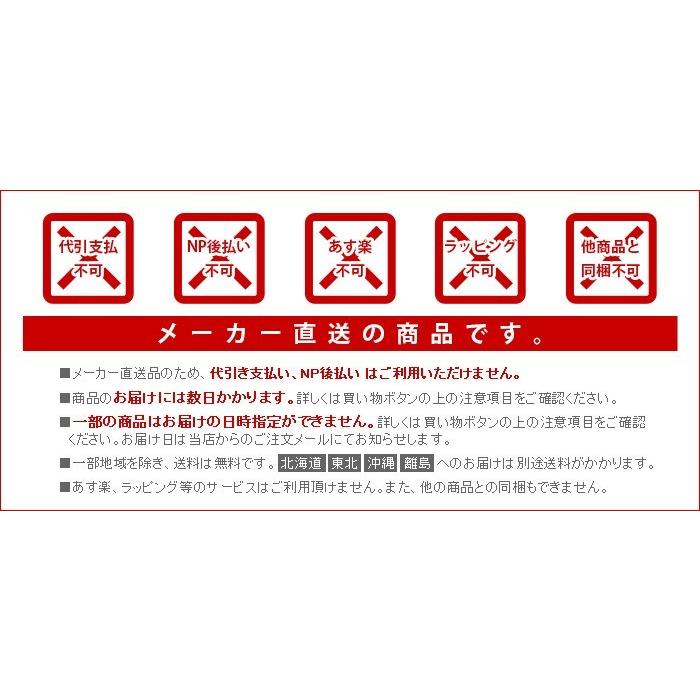 開梱/組み立て/設置/梱包材回収/無料] 鏡 全身鏡 姿見 Souvenir Mirror