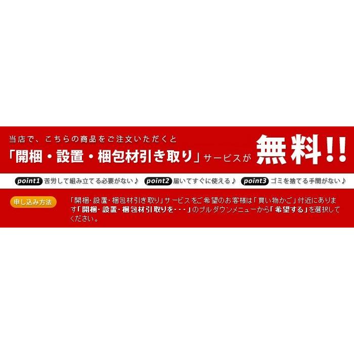 開梱/組み立て/設置/梱包材回収/無料] 鏡 全身鏡 姿見 Souvenir Mirror