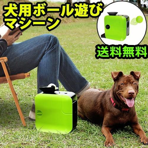 犬用 収納 ドットペットランチャー : plywood - 通販 - Yahoo!ショッピング