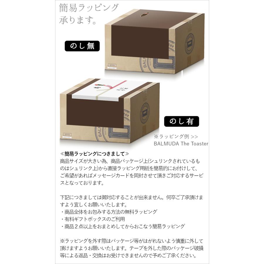 BALMUDA 正規店 2023年発売モデル バルミューダ ザ・ライト The BALMUDA 正規店 2023年発売モデル バルミューダ ザ・ライト The
