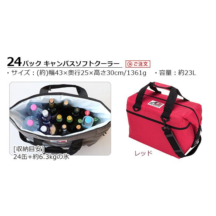 人気ブランドを クーラーボックス 保冷バッグ Ao Coolers キャンバス ソフトクーラー 24パック 超特価激安 Zoetalentsolutions Com