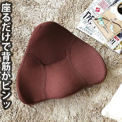 MTG Style 　プロイデア　馬具マットプレミアム　backjoy 骨盤矯正 プロイデア 馬具マットプレミアム : plywood - 通販 - Yahoo