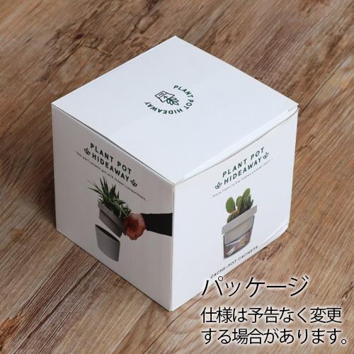 植木鉢 おしゃれ シークレットケース サックユーケープラント ポット