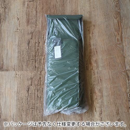 バリスティクス ランタン ボックス 2 BALLISTICS LANTERN BOX BAA-1705