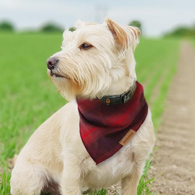 Lineギフト用販売ページ 犬 バンダナ スカーフ ペンドルトン バンダナ 単品 Pendleton Bandanda S M Line Plywood 通販 Yahoo ショッピング