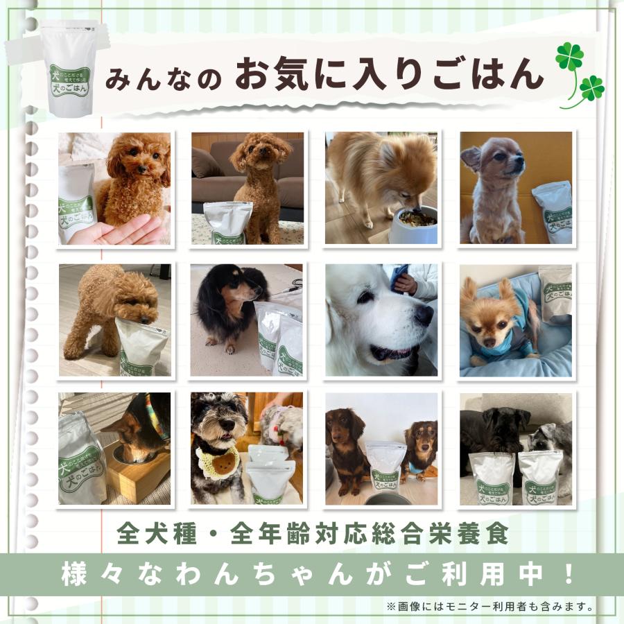 無添加 国産 低脂肪 プレミアムドッグフード 総合栄養食 全年齢 全犬種対応 保存料不使用 ドックフード 犬のことだけを考えて作った犬のごはん 3kg | Pets+ | 11