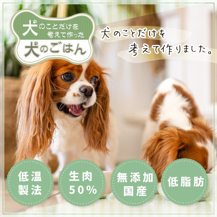 無添加 国産 低脂肪 プレミアムドッグフード 総合栄養食 全年齢 全犬種対応 保存料不使用 ドックフード 犬のことだけを考えて作った犬のごはん 3kg | Pets+ | 01