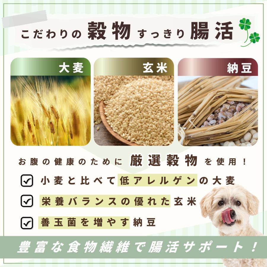 無添加 国産 低脂肪 プレミアムドッグフード 総合栄養食 全年齢 全犬種対応 保存料不使用 ドックフード 犬のことだけを考えて作った犬のごはん 3kg | Pets+ | 06