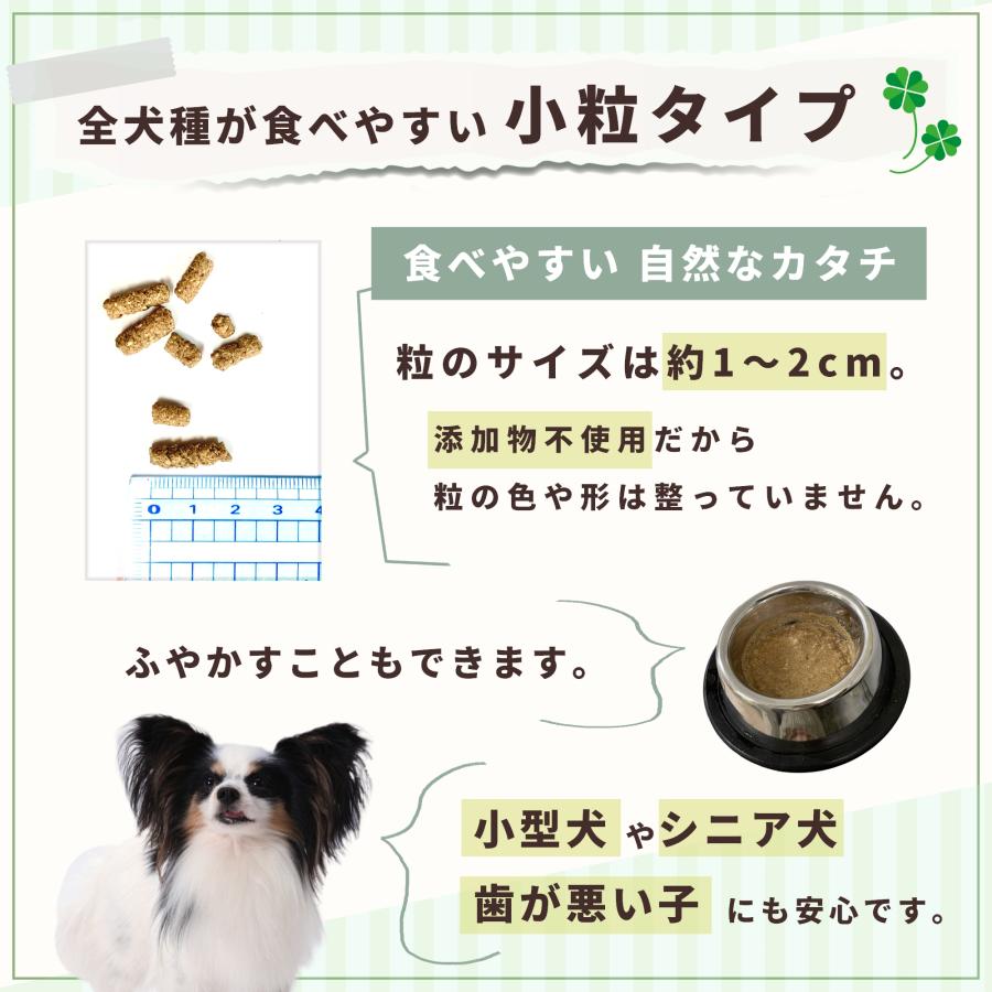 無添加 国産 低脂肪 プレミアムドッグフード 総合栄養食 全年齢 全犬種対応 保存料不使用 ドックフード 犬のことだけを考えて作った犬のごはん 3kg | Pets+ | 10
