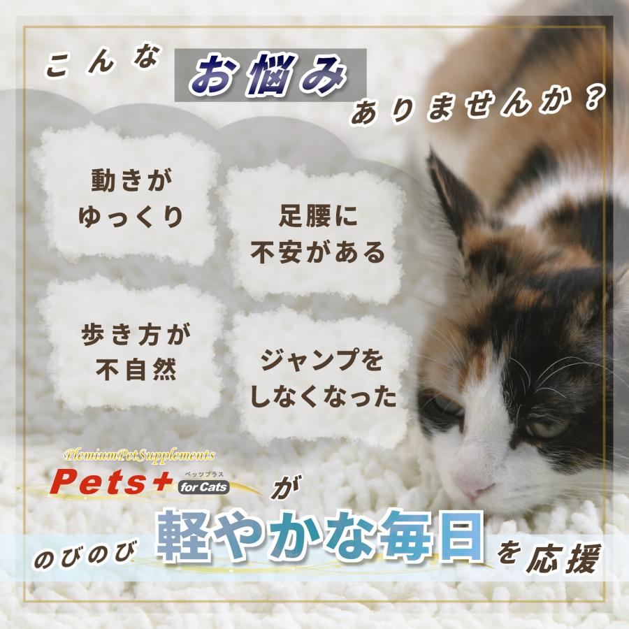 猫 サプリメント 関節 腰 ケア 国産 プロポリス グルコサミン コンドロイチン MSM ペッツプラス プレミアムアクティブ 猫用 サプリ | Pets+ | 02