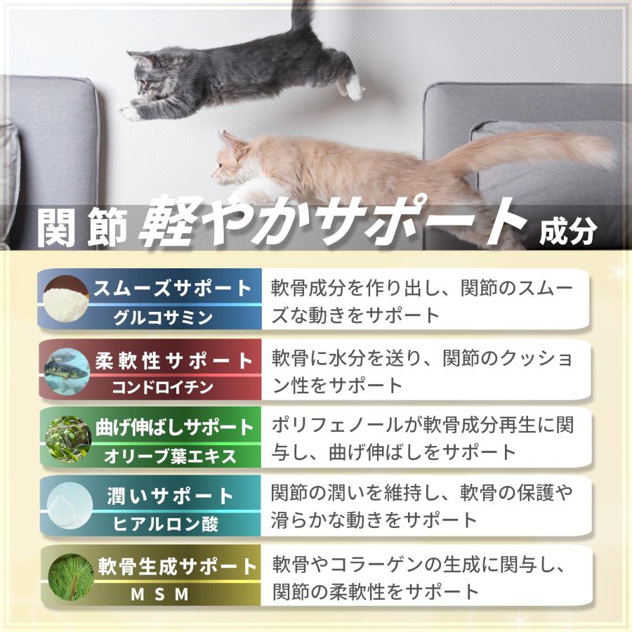 猫 サプリメント 関節 腰 ケア 国産 プロポリス グルコサミン コンドロイチン MSM ペッツプラス プレミアムアクティブ 猫用 サプリ | Pets+ | 05