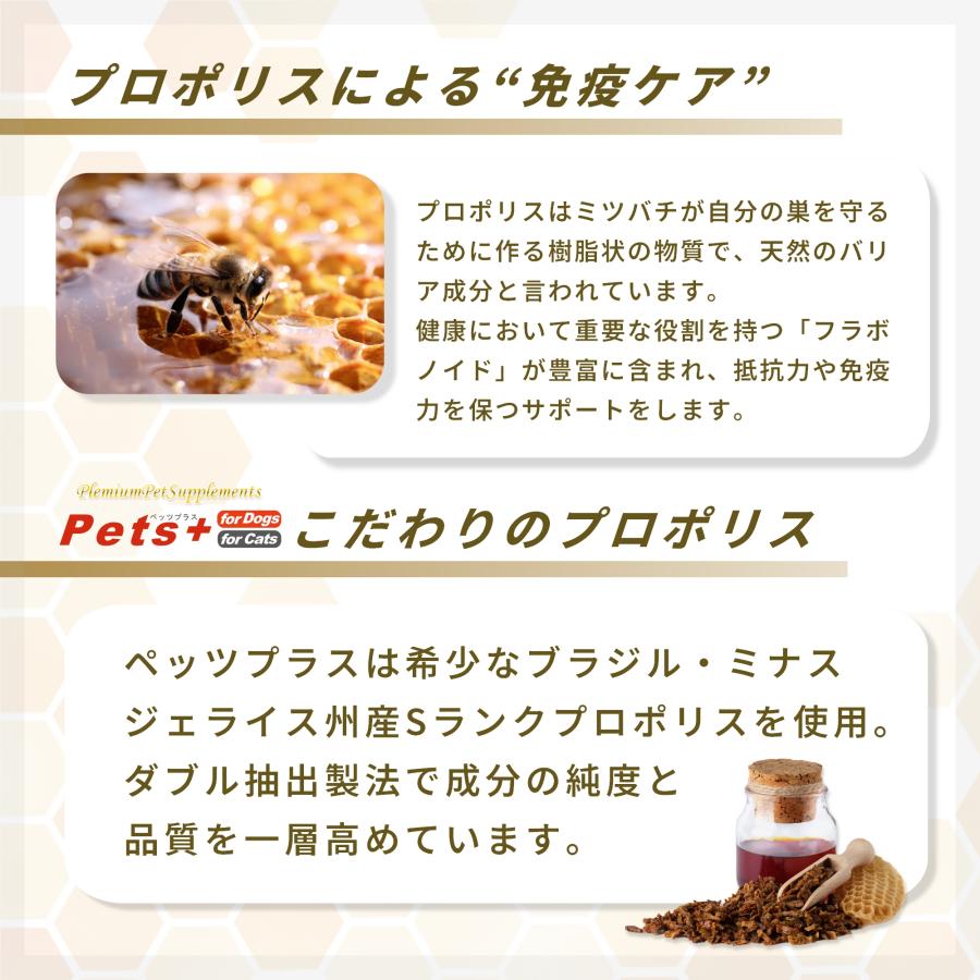 Pets+ 猫専用サプリメント ペッツプラス プレミアムアルファ 〜β-d 