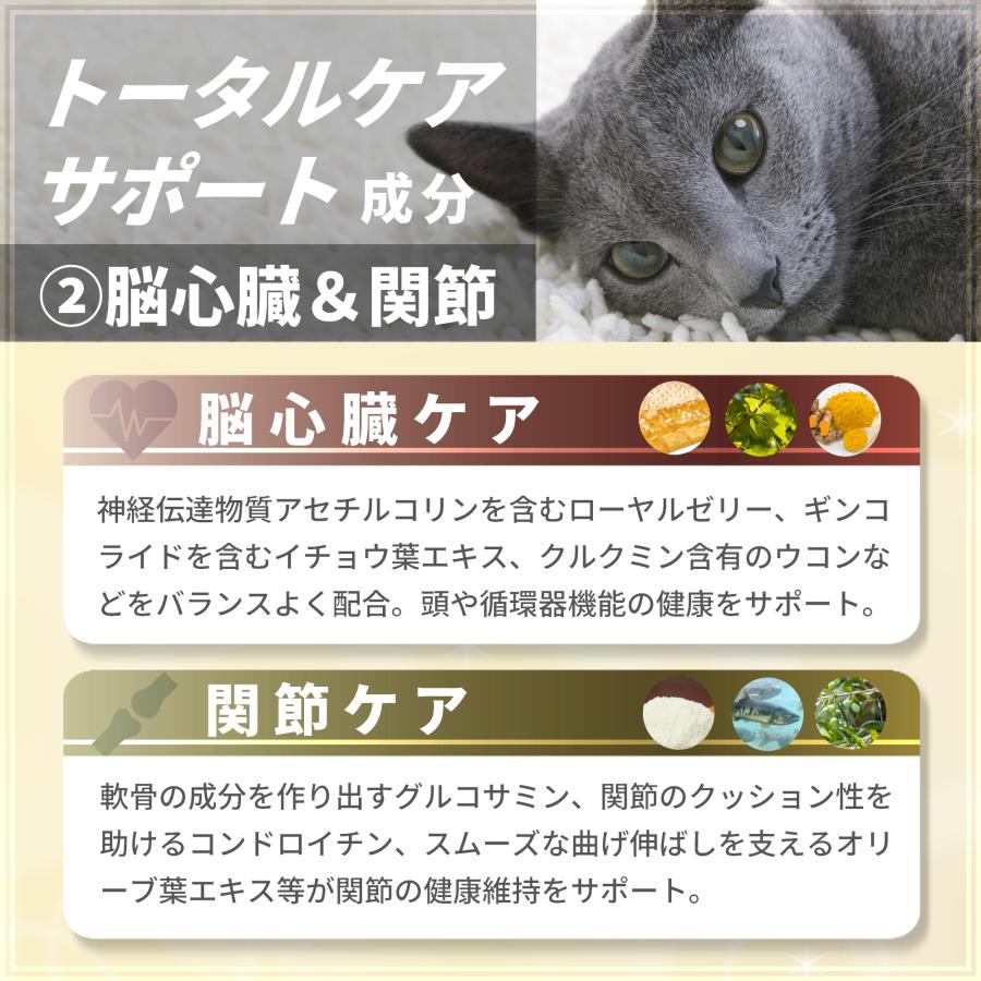 猫専用サプリメント ペッツプラス プレミアムセブン 〜7才以上の愛猫へ【全主成分配合】〜 2個セット | Pets+ | 07