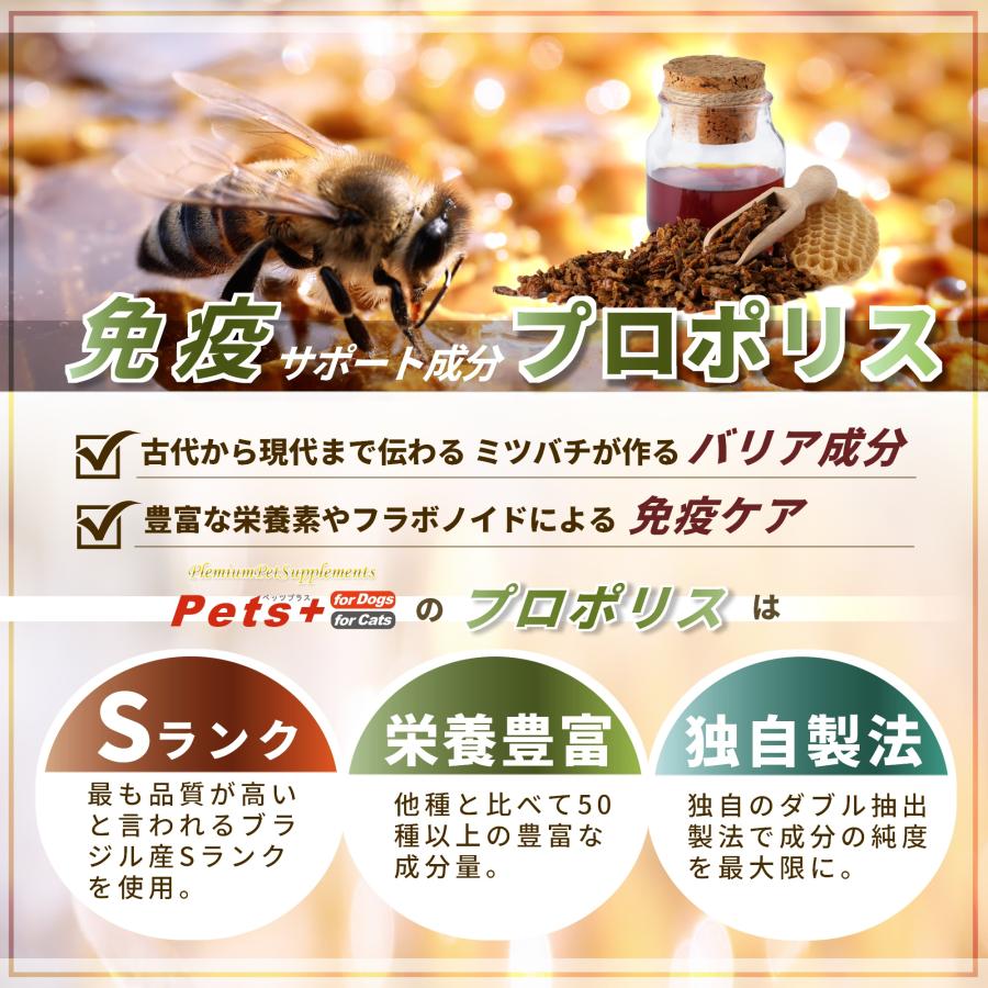 Pets+（ペッツプラス） 猫 サプリメント 全身ケア 免疫 目 脳 関節