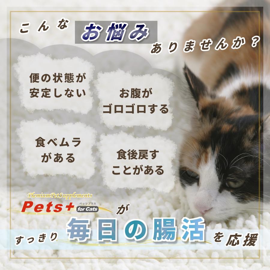猫 サプリメント 胃腸 ケア 国産 プロポリス 乳酸菌 植物発酵エキス 酵素 ペッツプラス プレミアムストマック 猫用 サプリ | Pets+ | 02