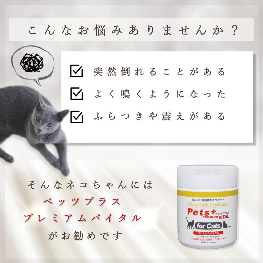 猫専用サプリメント ペッツプラス プレミアムバイタル 〜あたまの健康維持をサポート〜 2個セット｜pmall｜02