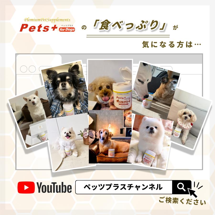 犬 サプリメント 関節 腰 ケア 国産 プロポリス グルコサミン コンドロイチン MSM ペッツプラス プレミアムアクティブ 犬用 サプリ | Pets+ | 12