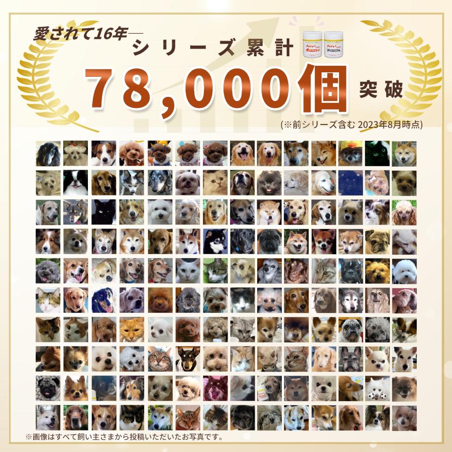 犬 サプリメント 関節 腰 ケア 国産 プロポリス グルコサミン コンドロイチン MSM ペッツプラス プレミアムアクティブ 犬用 サプリ | Pets+ | 11