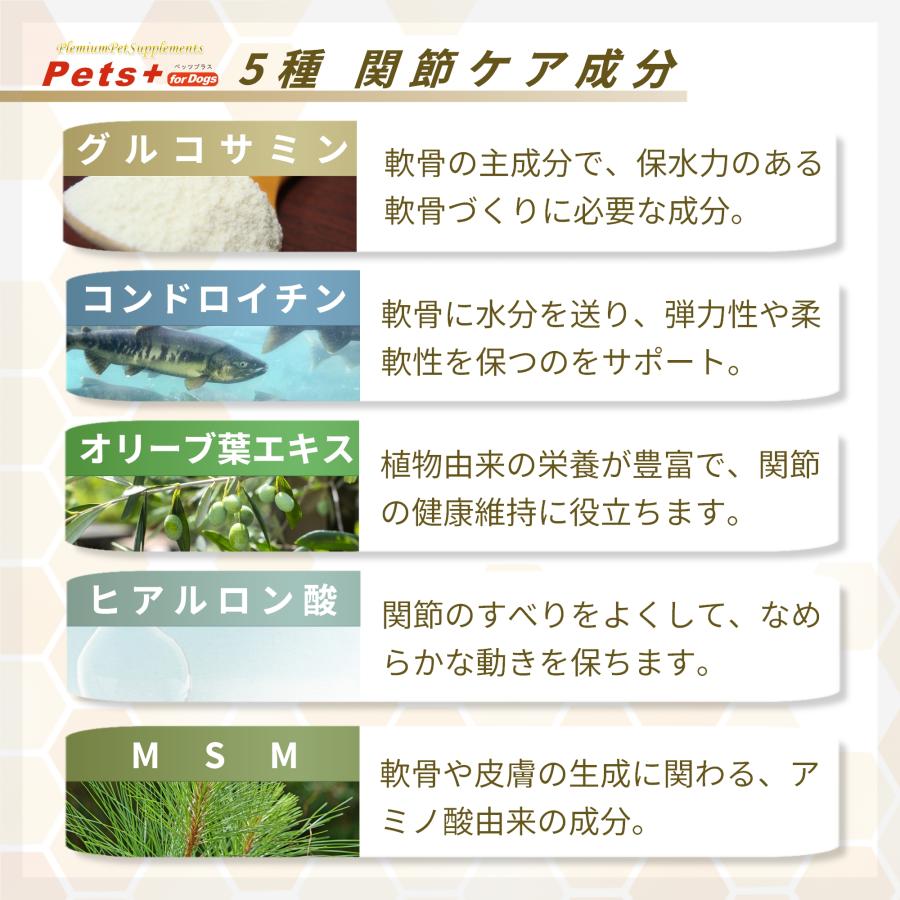 Pets+ 犬専用サプリメント ペッツプラス プレミアムアクティブ