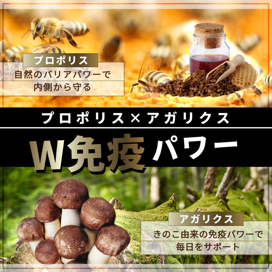 犬 サプリメント 免疫 皮膚 ケア 国産 プロポリス アガリクス β-dグルカン ペッツプラス プレミアムアルファ 犬用 免疫力 サプリ | Pets+ | 04