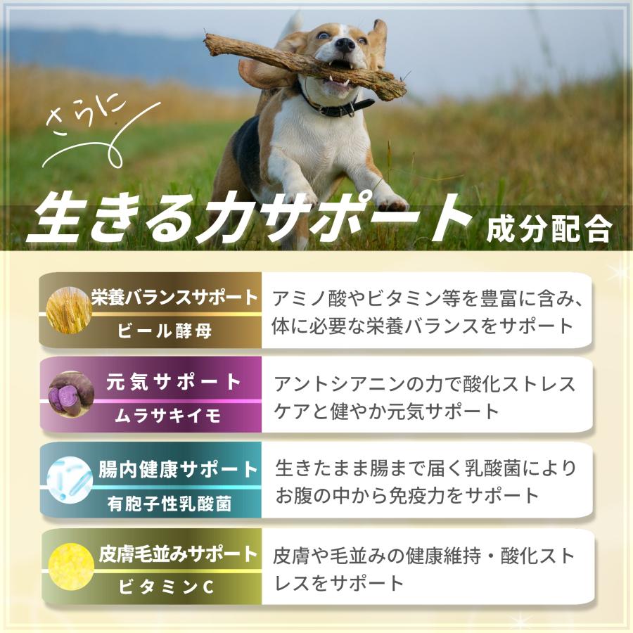 Pets+（ペッツプラス） 犬 サプリメント 免疫 皮膚 ケア 国産