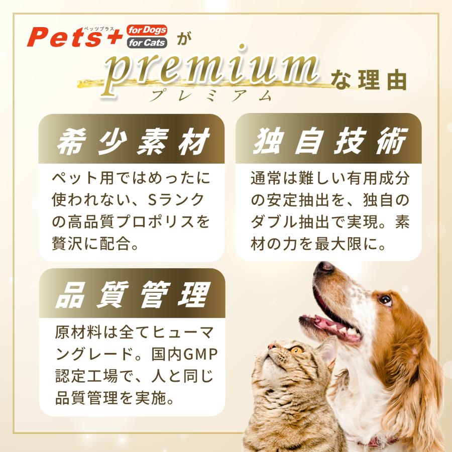 Pets+（ペッツプラス） 犬専用サプリメント プレミアムアイ 〜目の健康
