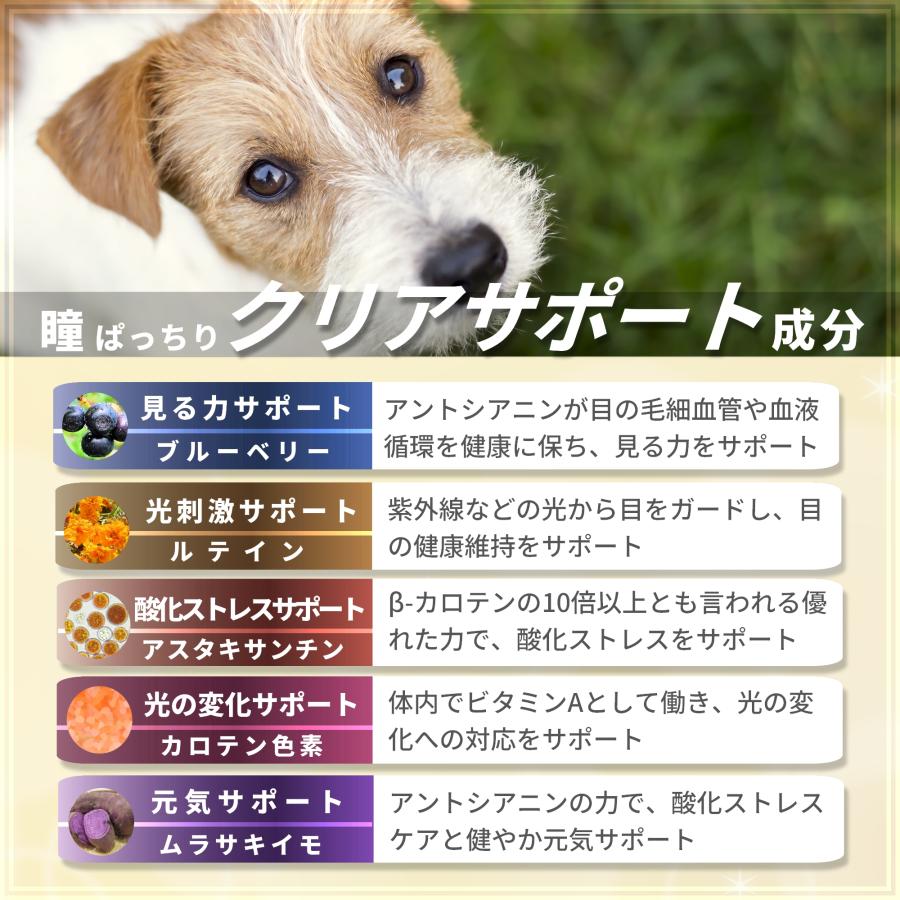 Pets+（ペッツプラス） 犬専用サプリメント プレミアムアイ 〜目の健康