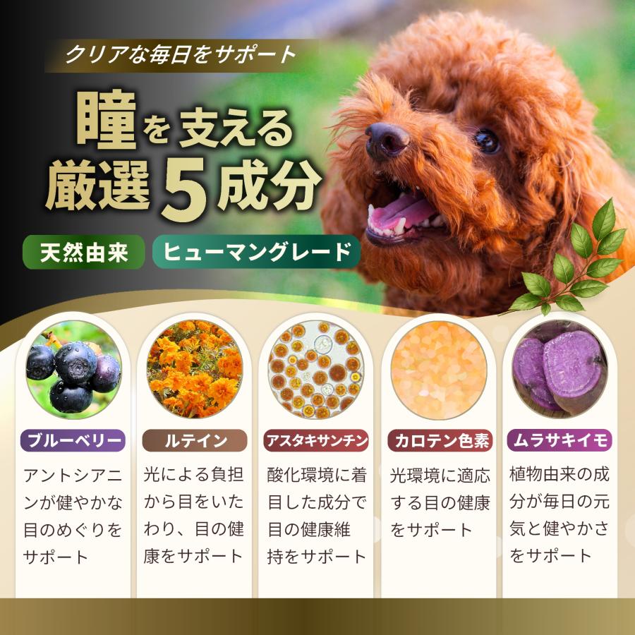 Pets+（ペッツプラス） プレミアムアイ 犬 目 サプリ アイケア 瞳 健康