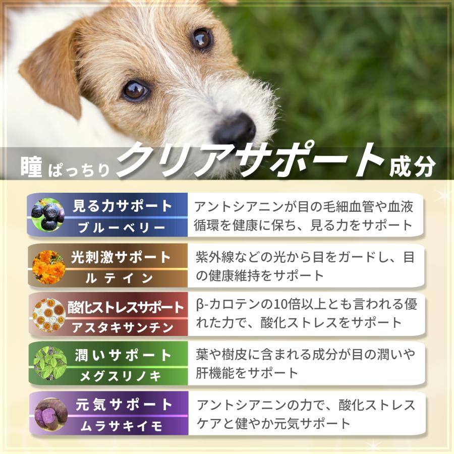 Pets+（ペッツプラス） 犬 サプリメント 目の健康 ケア 国産