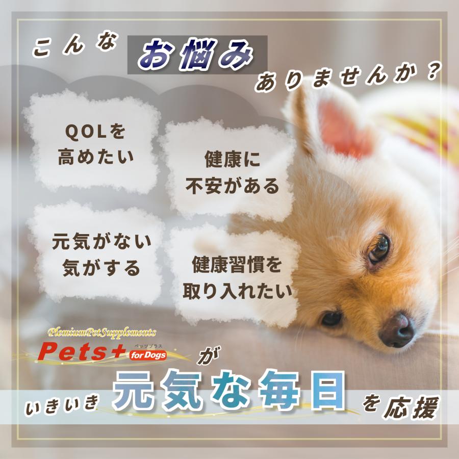 Pets+（ペッツプラス） 犬 サプリメント QOL 免疫力 ケア 健康維持