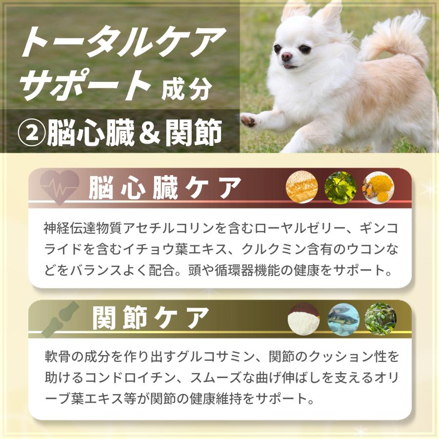 犬 サプリメント 全身ケア 免疫 目 脳 関節 胃腸 健康維持 国産 プロポリス ペッツプラス プレミアムセブン 犬用 サプリ | Pets+ | 07