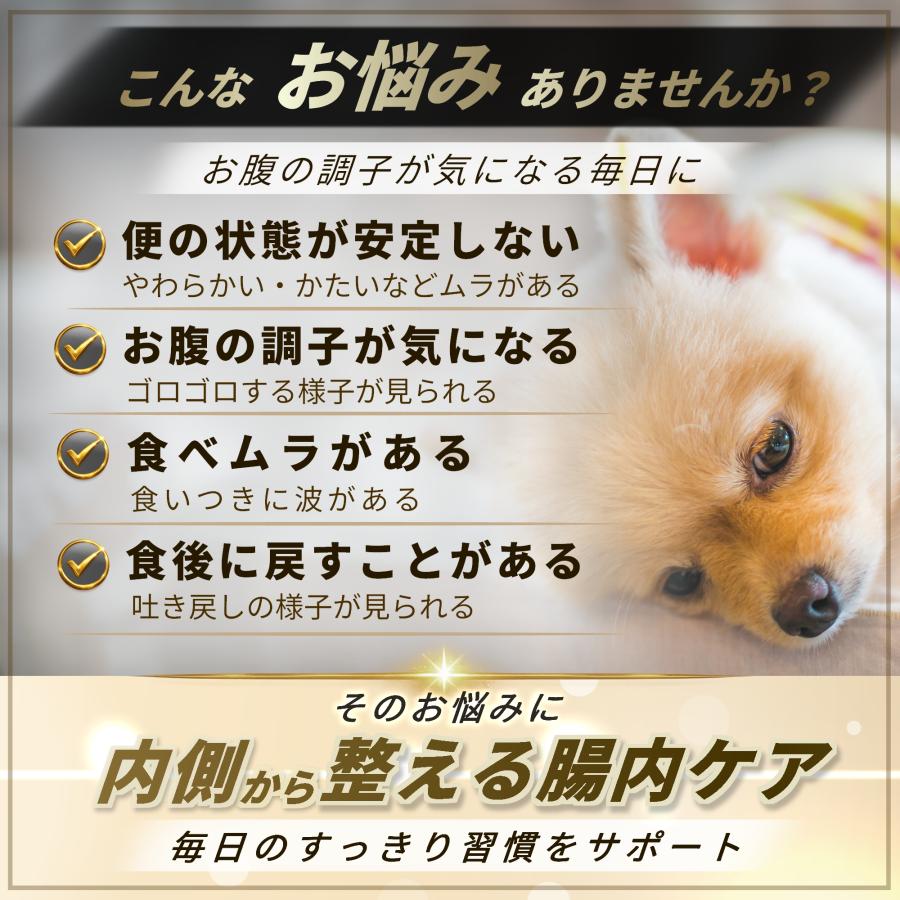 Pets+（ペッツプラス） プレミアムストマック犬 胃腸 サプリ 腸活 腸内