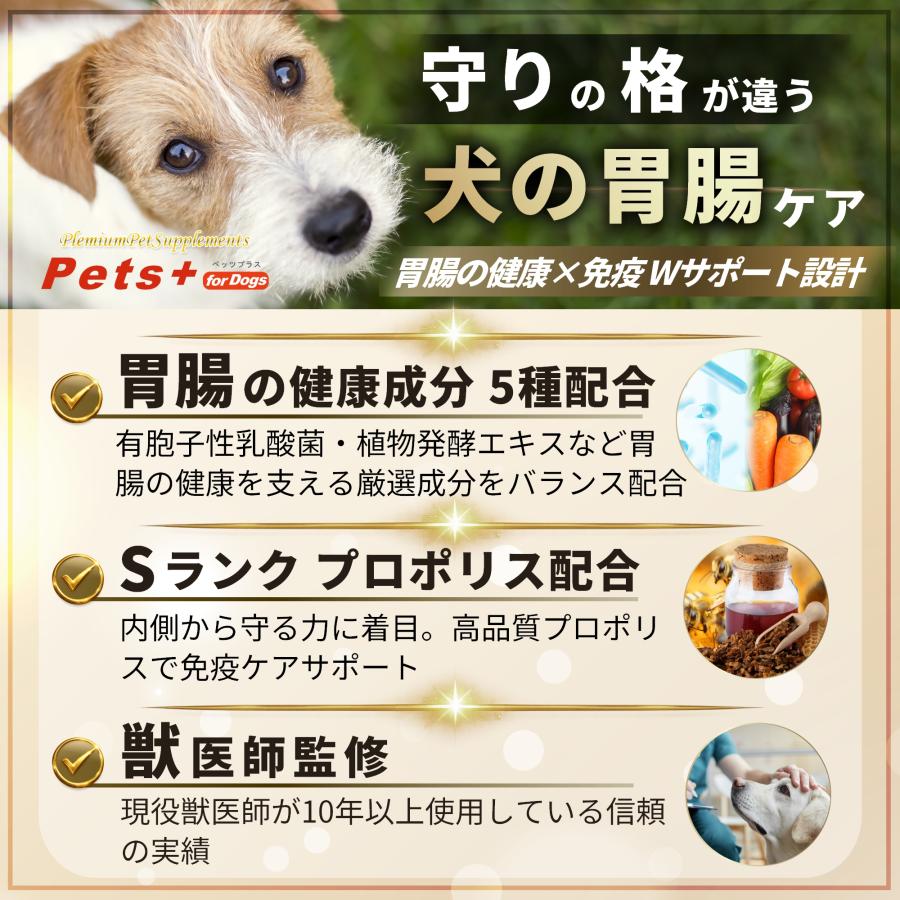 Pets+（ペッツプラス） プレミアムストマック犬 胃腸 サプリ 腸活 腸内