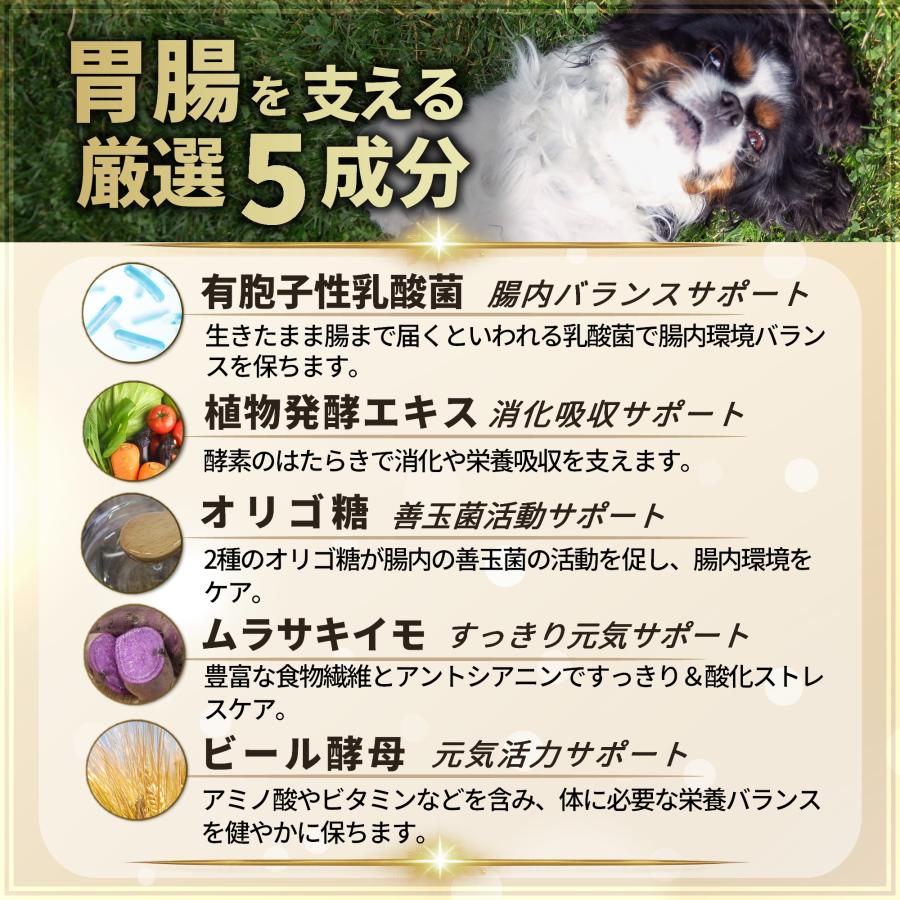 Pets+（ペッツプラス） プレミアムストマック犬 胃腸 サプリ 腸活 腸内